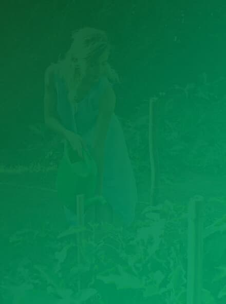 Grow Green with Us